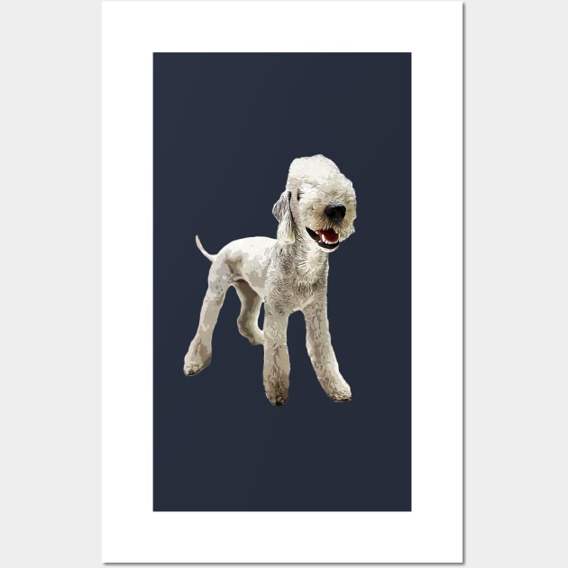 Bedlington Terrier Wall Art by ElegantCat